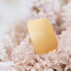Ring (28g) - Afbeelding 3