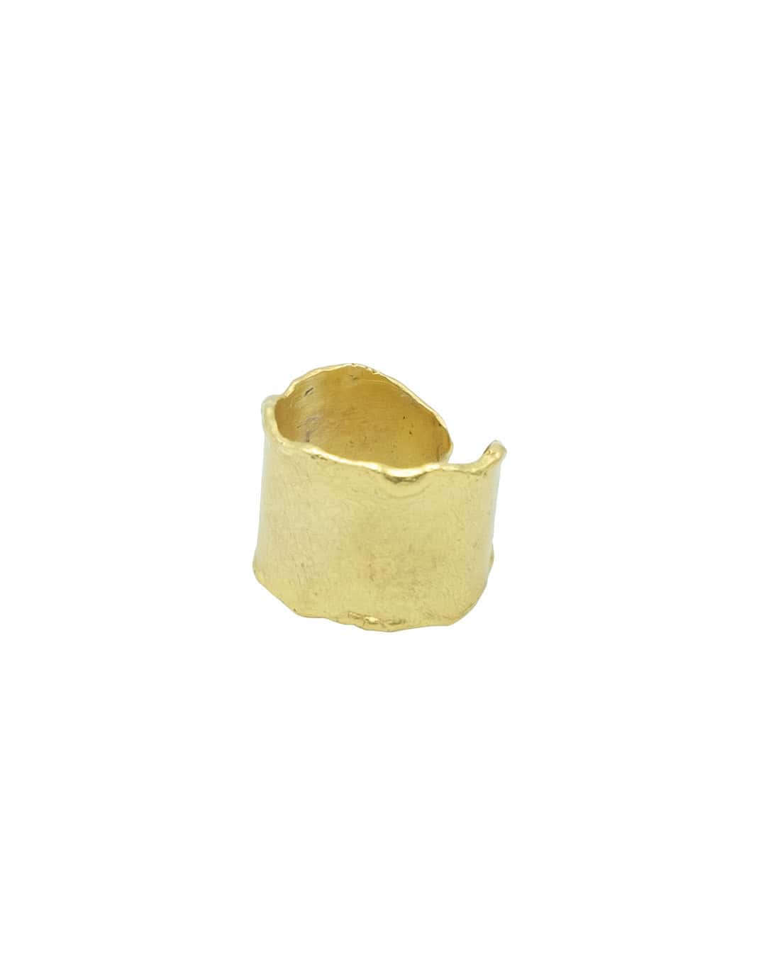Ring (28j)