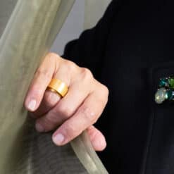 Alternative view of Ring (28a)