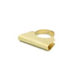Ring (29p)
